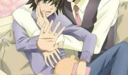 耽美漫画侵犯,探寻创意与法律边界