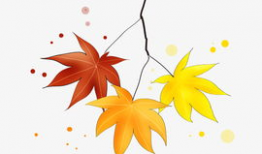 漫画枫叶,漫话秋日里的诗意画卷